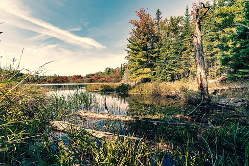 Free Canada Indian Summer photo and picture