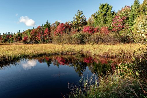 Free Canada Indian Summer photo and picture