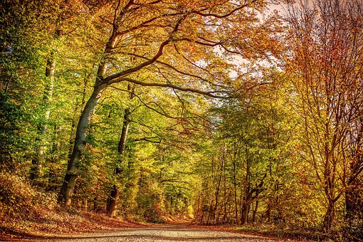 nature landscapes images pixabay download free pictures
