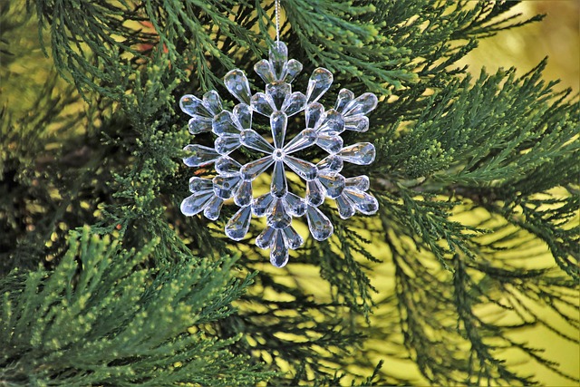 Free Star Parish photo and picture