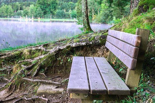 Free Bank Lake photo and picture