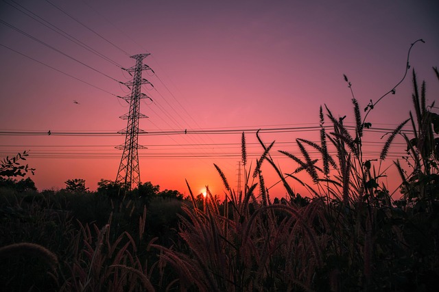 Free Sunset Meadow photo and picture
