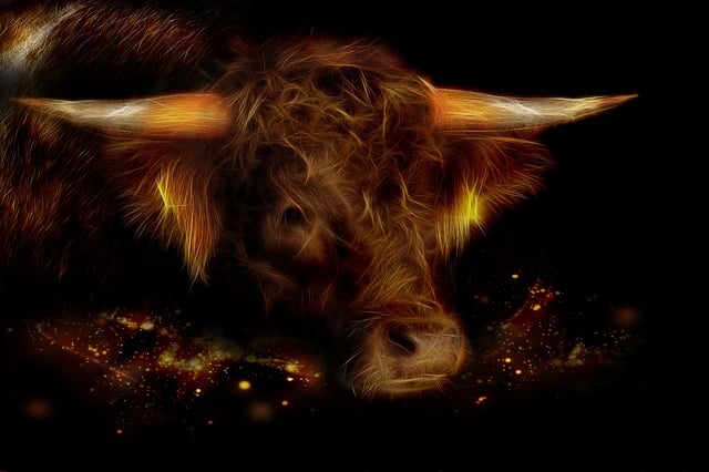 Rind, Fractalius, Braun, Tier, Hörner