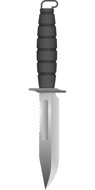 Free knife combat sharp vector