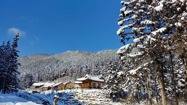Free Snow Nature photo and picture