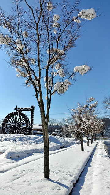 Free Snow Nature photo and picture