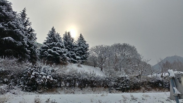 Free Snow Sunrise photo and picture