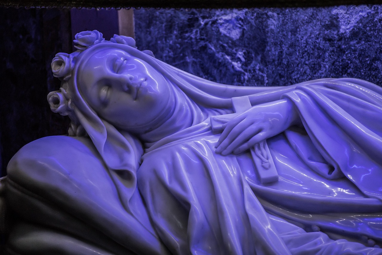 Saint Therese Of Lisieux Death Nun Free photo on Pixabay Pixabay