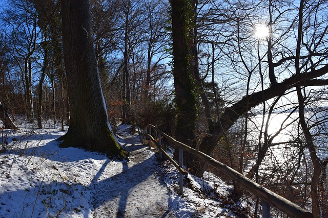 Inverno, Sol De Inverno, Natureza, Neve