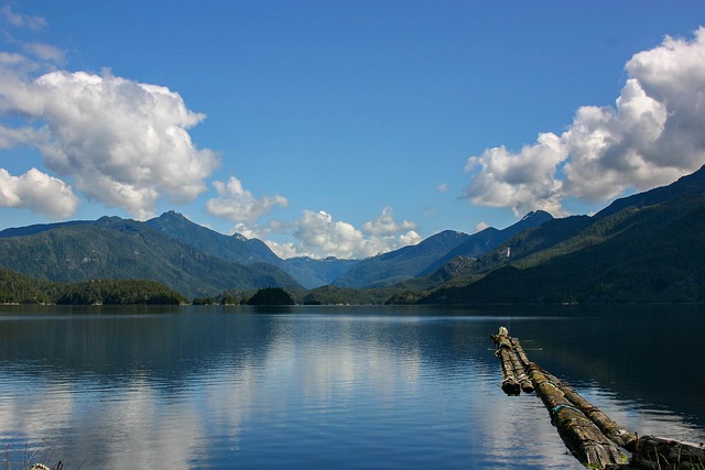 Free Port Naturally photo and picture