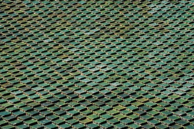 Fliesen, Dach, Teneriffa, Loropark, Grün