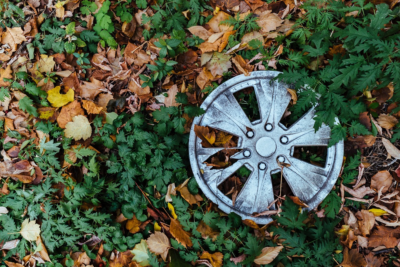 Wheel - free online jigsaw puzzle photo