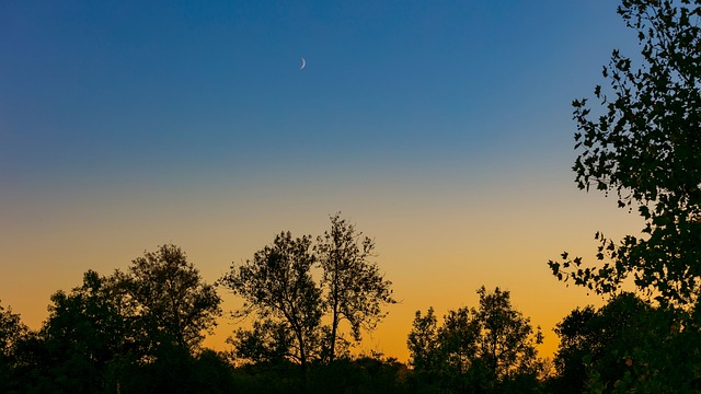 Lua, Pôr Do Sol, Jardim, Paraíso