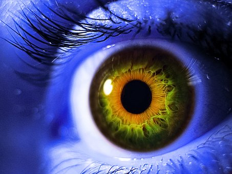 Free Eye Increase photo and picture
