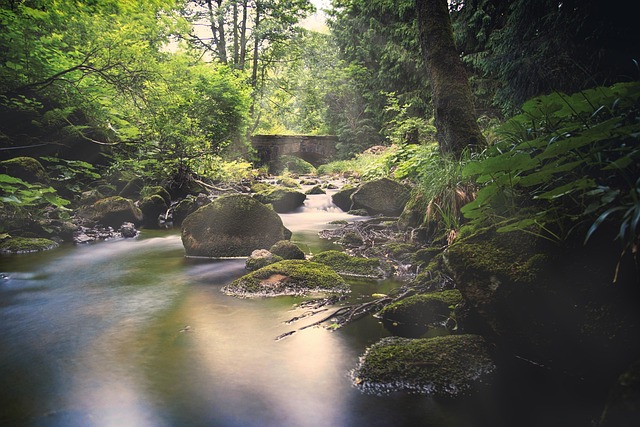Free The Bode Bodetal photo and picture