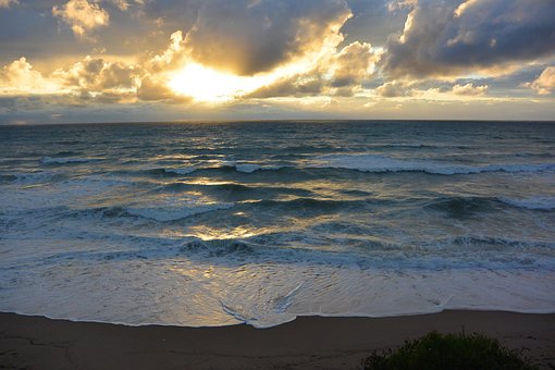 Free Beach Dusk photo and picture
