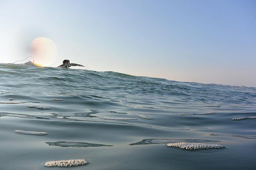 Free Surfing Sea photo and picture