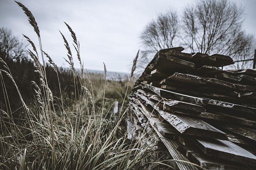 Grunge, Panorama, Velho, Natureza