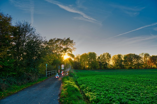 Free Path Bike Path photo and picture
