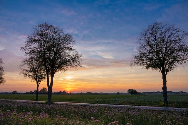 Free Road Nature photo and picture