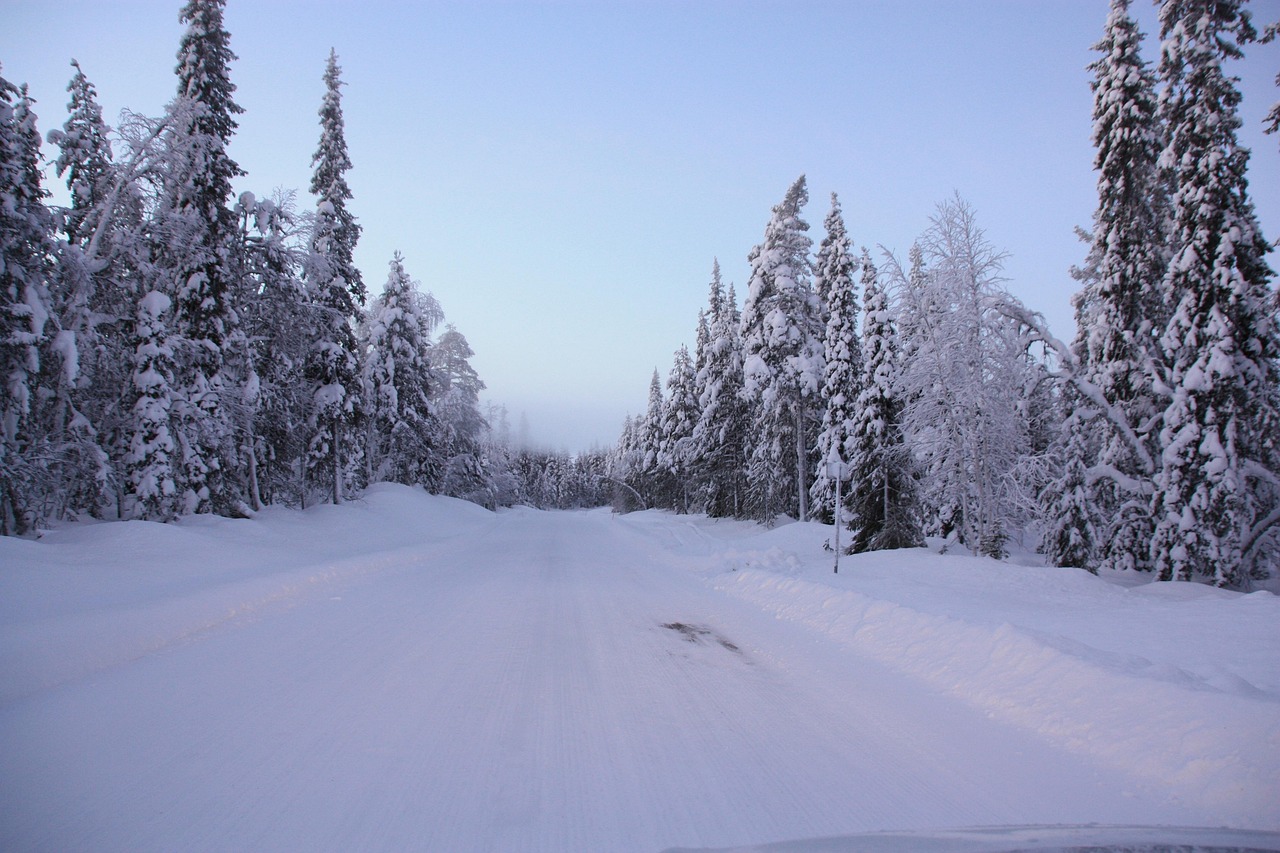 Free Road Snow photo and picture