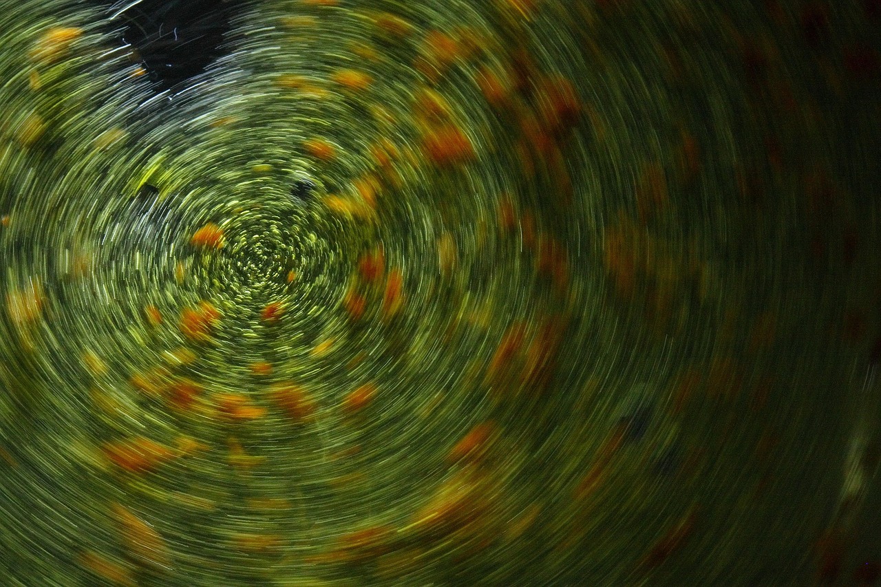 Abstract - free online jigsaw puzzle photo