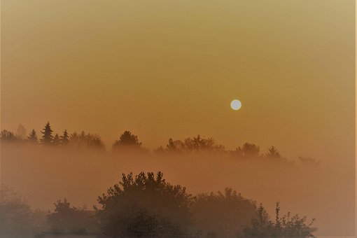 Free Nature Tomorrow photo and picture