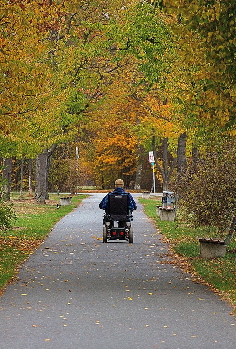 Wheelchair, Autumn, Park, Drive, Man, Movement, Senior