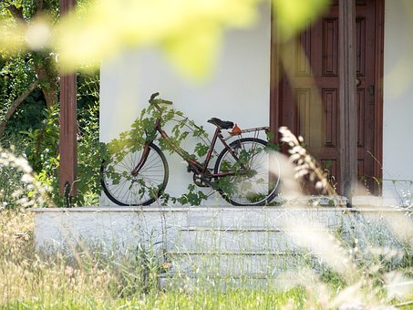 Free Summer Bicycle photo and picture