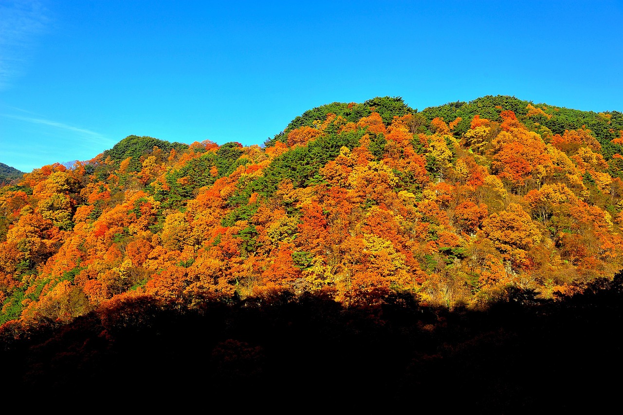 200 + 무료 가을풍경 & 가을 이미지 - Pixabay