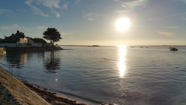 Free Port Ocean photo and picture