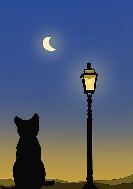 Free evening nocturne romantic illustration