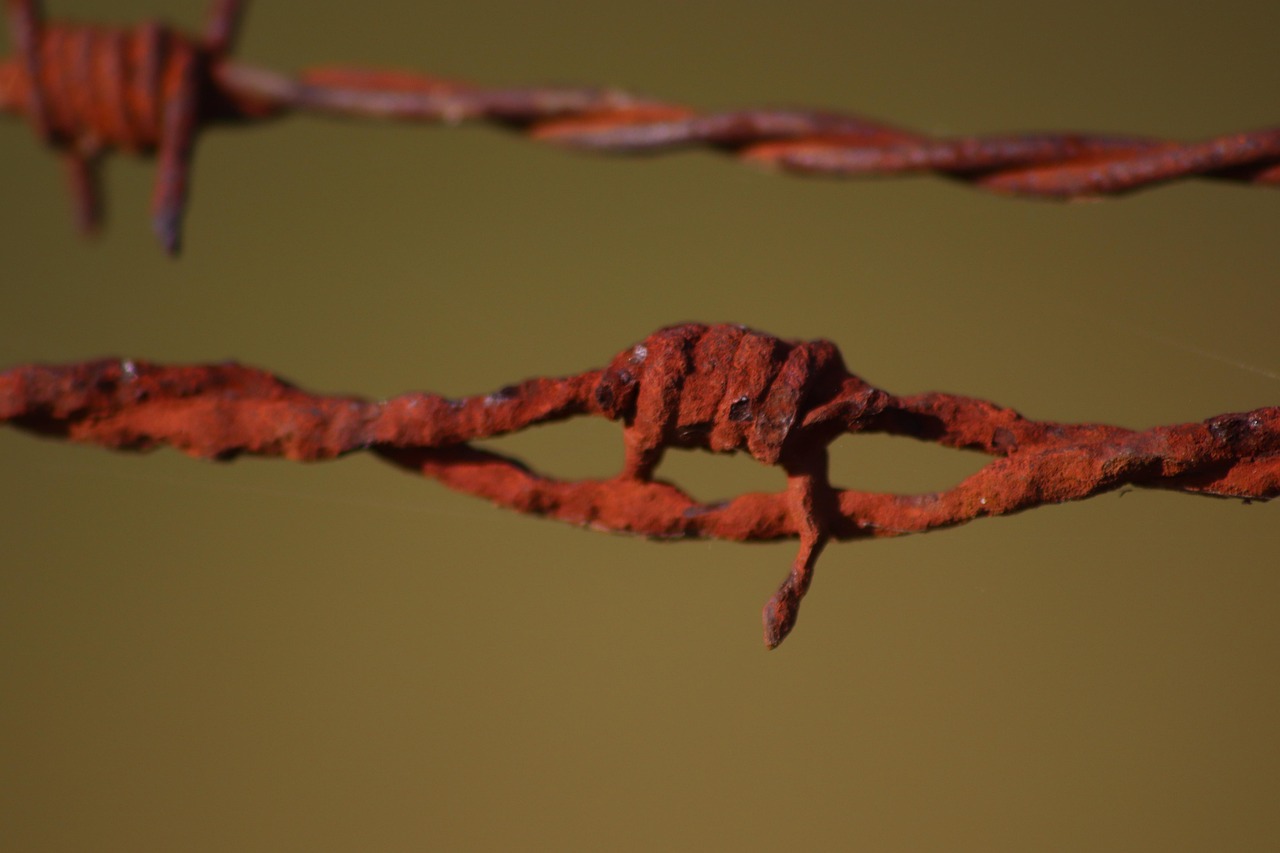 Barbed Wire Rust Fencing Free photo on Pixabay Pixabay