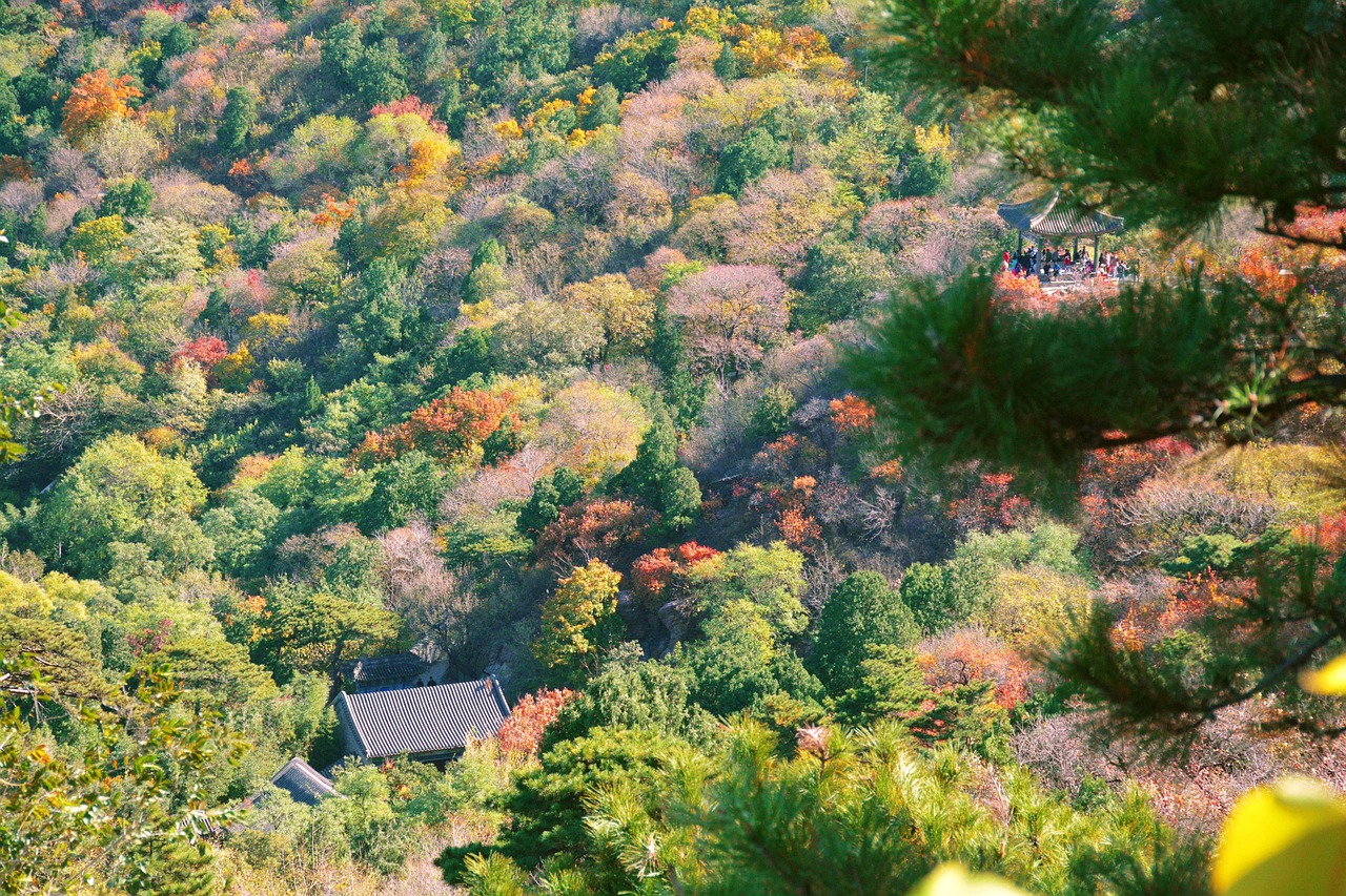 Autmn Beijing Autumn Beijing Fragrant Hill - Free photo on Pixabay