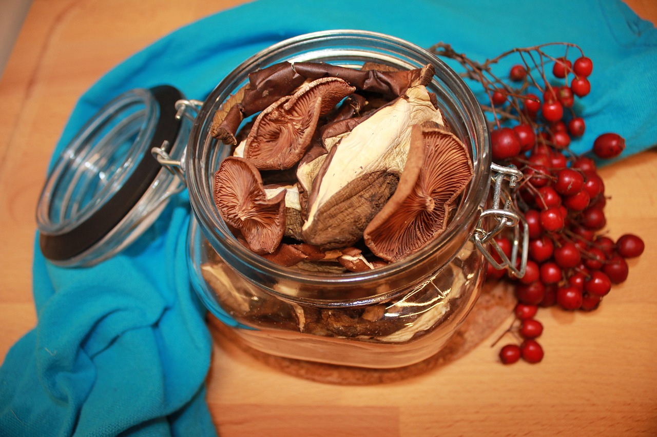 Dried Mushrooms Food Free photo on Pixabay Pixabay
