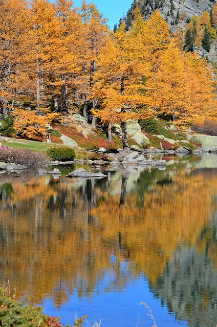 Follaje, La Aguja, Otoño