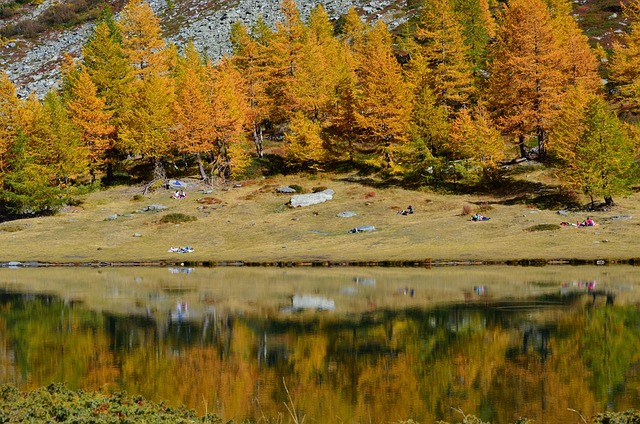 Otoño, La Aguja, Reflexión