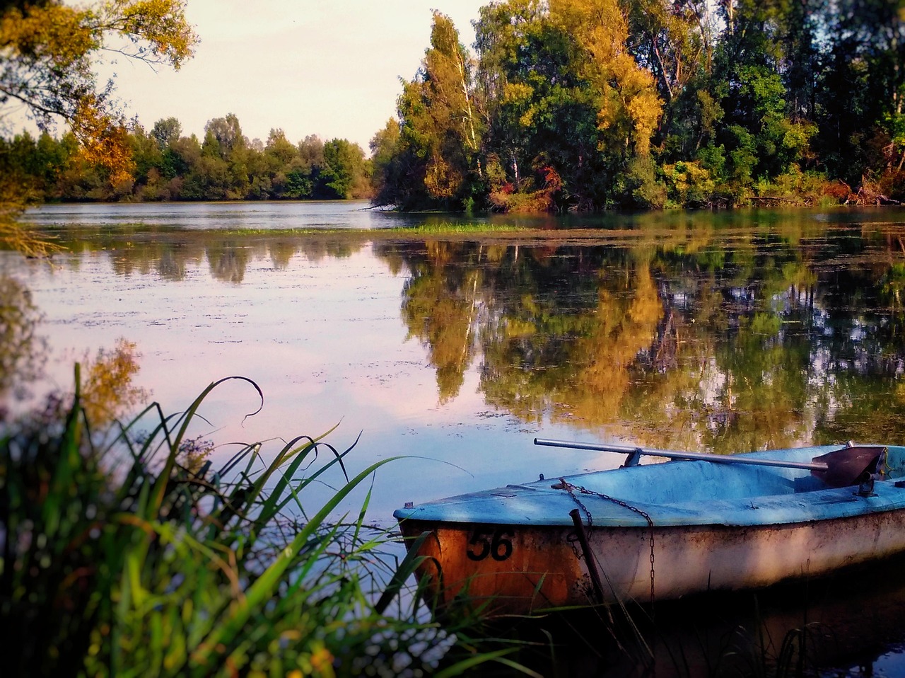 Осенняя Рыбалка Фото