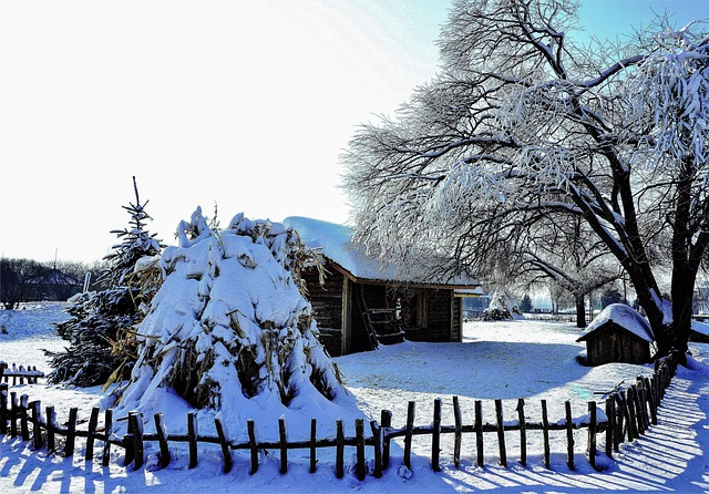 Winter, Wetter, Schnee, Dorf, Baum