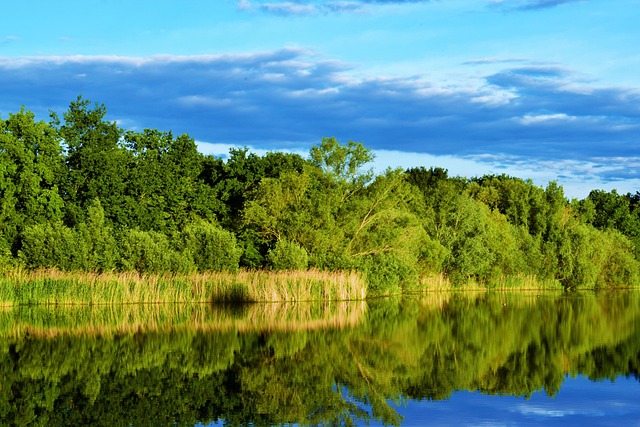 Free Lake Water photo and picture