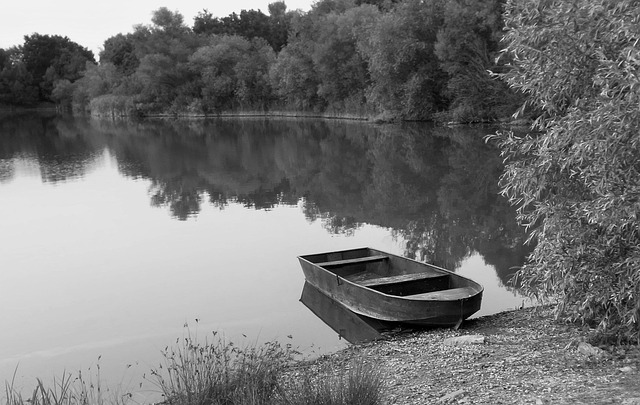 Free Black-And-White Water photo and picture