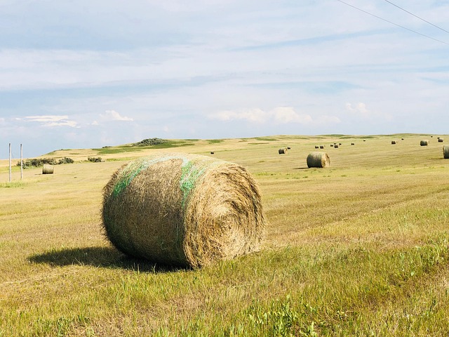 Heu, Ballen, Feld, Landschaft, Stroh