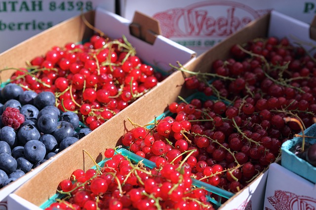 Free Summer Berries photo and picture