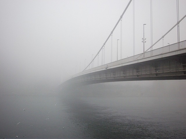 Free Bridge Danube photo and picture