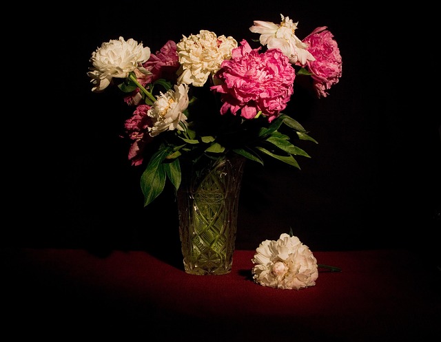 Stilleven, Bloemen, Pioenen, Bloem