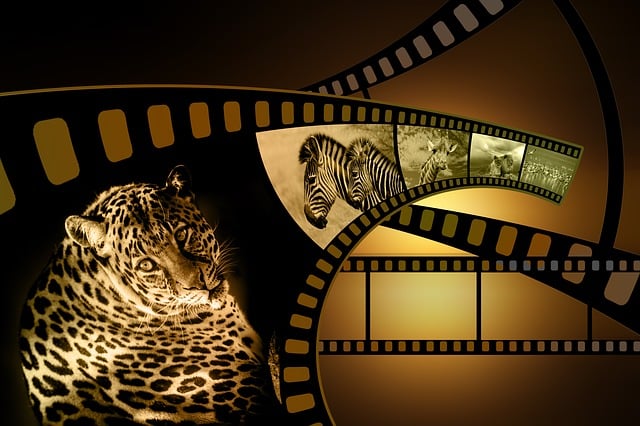 Free photography movie film roll illustration