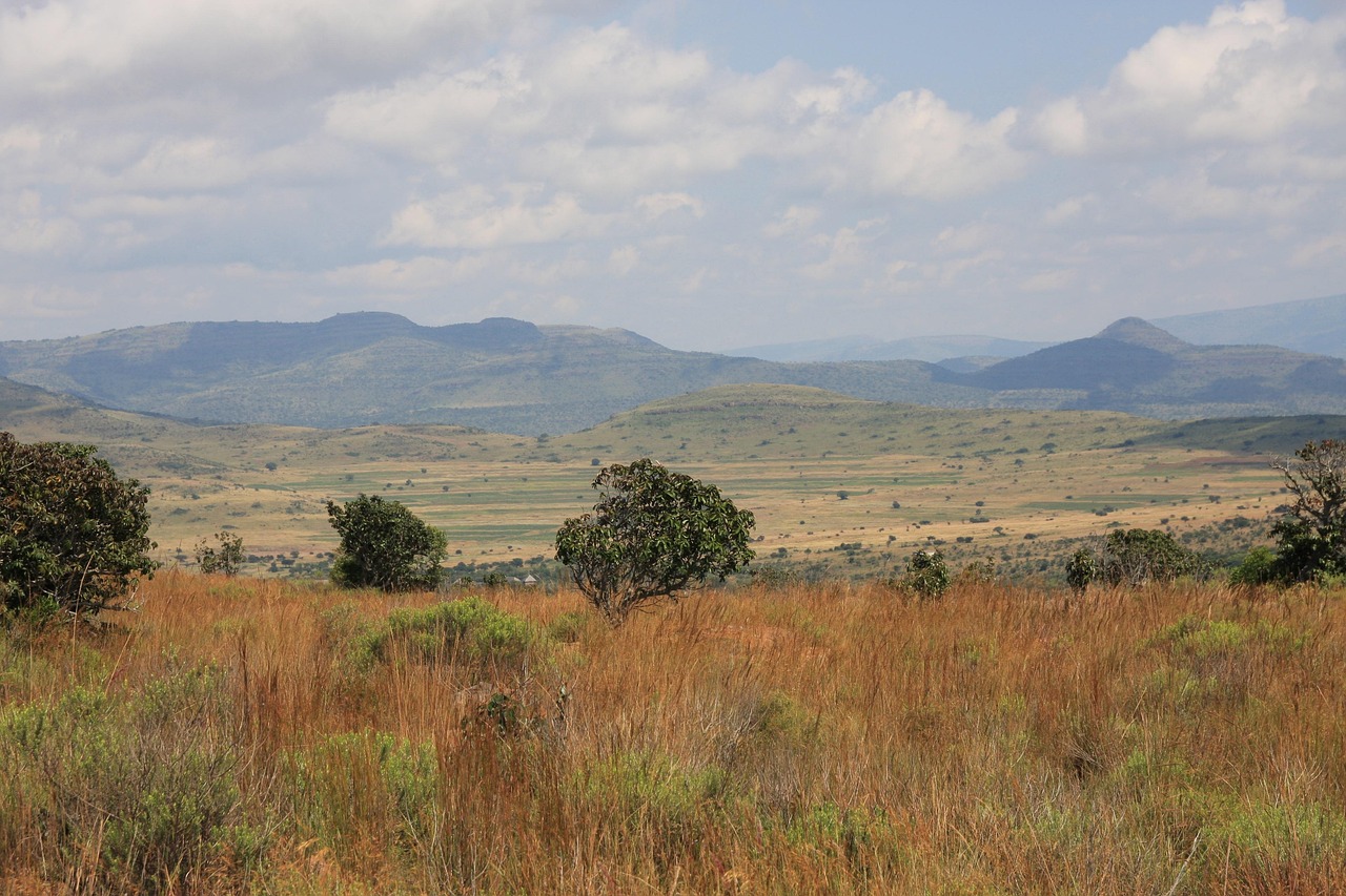 South Africa Landscape National - Free photo on Pixabay