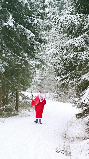 Nyt År, Julemanden, Santa, Fader Frost