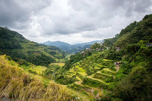 Free Philippines Rice Terraces photo and picture