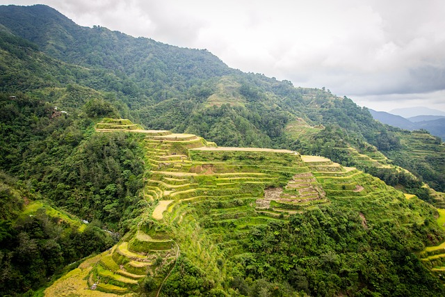 Free Philippines Rice Terraces photo and picture